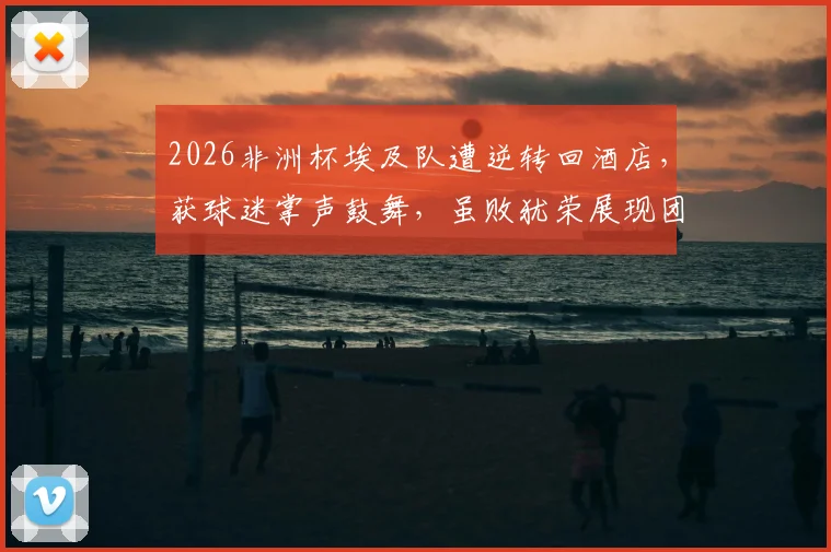 2026非洲杯埃及队遭逆转回酒店，获球迷掌声鼓舞，虽败犹荣展现团结