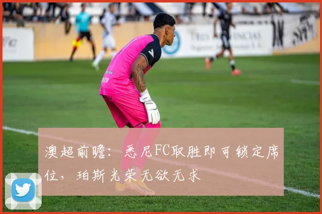 澳超前瞻:悉尼FC取胜即可锁定席位,珀斯光荣无欲无求