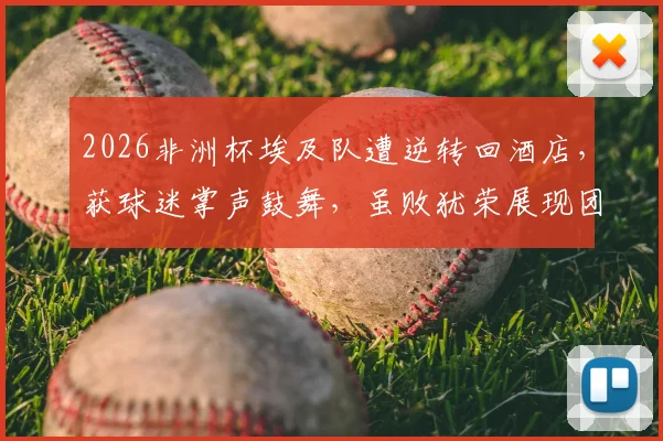 2026非洲杯埃及队遭逆转回酒店，获球迷掌声鼓舞，虽败犹荣展现团结